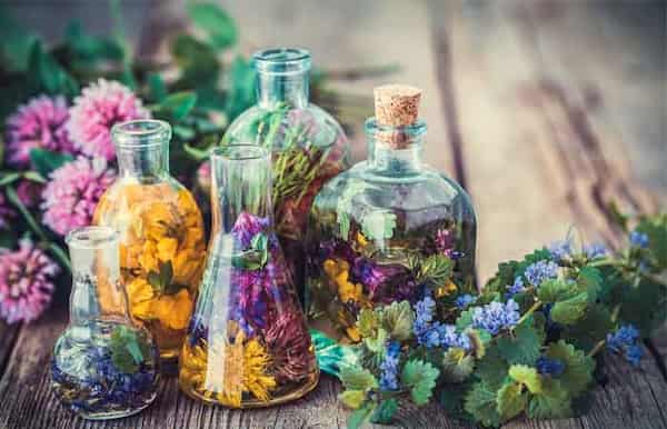 تصویر 5 از قیمت خرید چهل گیاه 500 گرمی + فروش ویژه